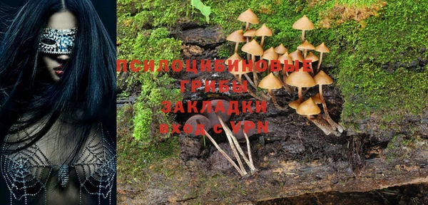 PSILOCYBIN Володарск